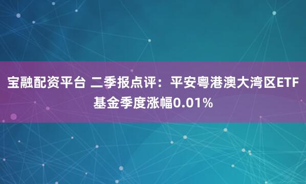 宝融配资平台 二季报点评：平安粤港澳大湾区ETF基金季度涨幅0.01%